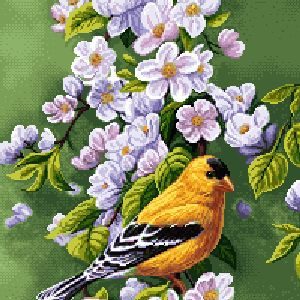 نخ و نقشه تابلوفرش طرح سه قناری زرد