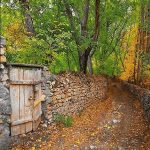 نخ و نقشه تابلوفرش طرح کوچه باغ باران خورده