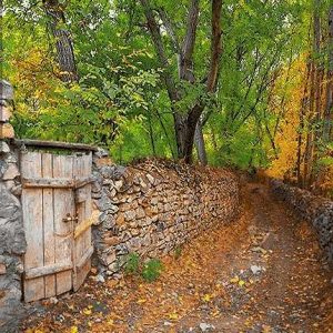 نخ و نقشه تابلوفرش طرح کوچه باغ باران خورده