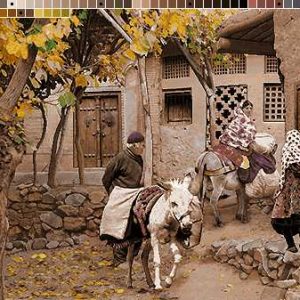 نخ و نقشه تابلوفرش طرح روستای ابیانه2