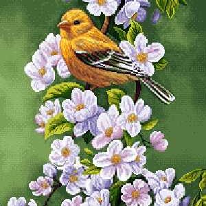 نخ و نقشه تابلوفرش طرح دو قناری زرد