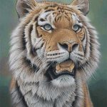 نخ و نقشه تابلوفرش طرح ببر جنگل