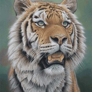 نخ و نقشه تابلوفرش طرح ببر جنگل