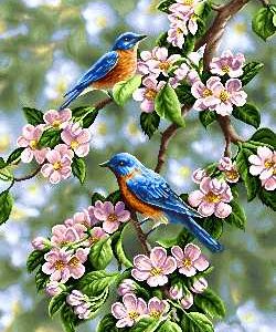 نخ و نقشه تابلوفرش طرح گل و مرغ