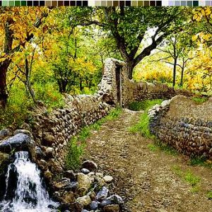 نخ و نقشه تابلوفرش طرح کوچه باغ 5771