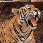 نخ و نقشه تابلوفرش طرح نعره ببر جنگل