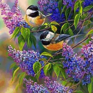 نخ و نقشه تابلوفرش طرح جوجه ها و یاس ها