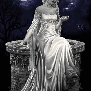 نخ و نقشه تابلوفرش طرح فرشته چاه آرزو