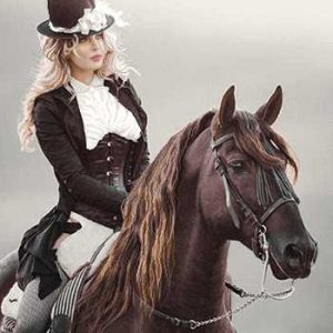 نخ و نقشه تابلوفرش طرح سوارکار سیاهپوش