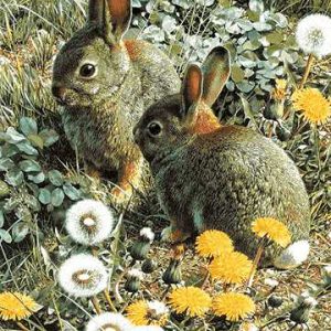 نخ و نقشه تابلوفرش طرح ناهار پیک نیک