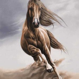 نخ و نقشه تابلوفرش طرح اسب صحرا