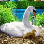 نخ و نقشه تابلوفرش طرح قو کنار برکه