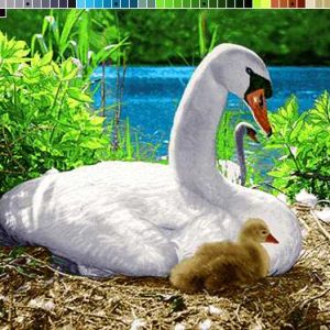 نخ و نقشه تابلوفرش طرح قو کنار برکه