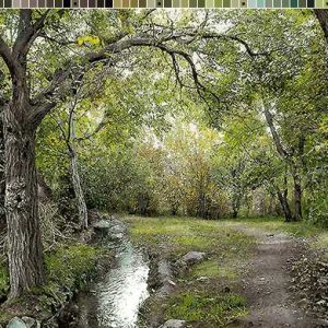 نخ و نقشه تابلوفرش طرح در میان بهشت