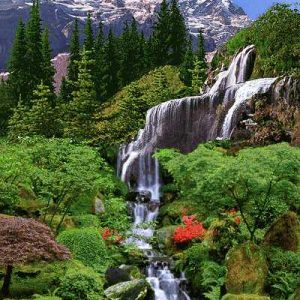 نخ و نقشه تابلوفرش طرح آبشار و کوه و جنگل